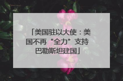 美国驻以大使：美国不再“全力”支持巴勒斯坦建国