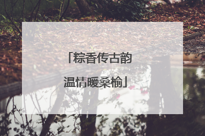 粽香传古韵 温情暖桑榆