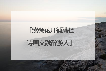 紫薇花开铺满径 诗画交融醉游人