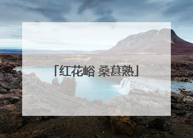 红花峪 桑葚熟