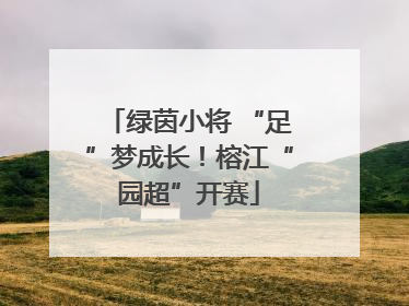 绿茵小将 “足”梦成长！榕江“园超”开赛