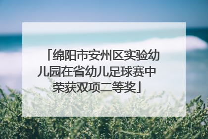 绵阳市安州区实验幼儿园在省幼儿足球赛中荣获双项二等奖