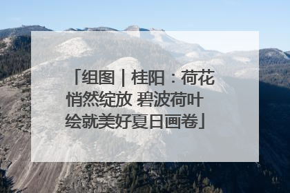 组图｜桂阳：荷花悄然绽放 碧波荷叶绘就美好夏日画卷