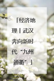 经济地理丨武汉奔向新时代“九州通衢”