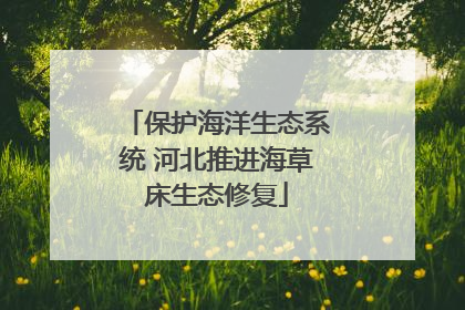 保护海洋生态系统 河北推进海草床生态修复