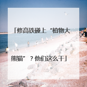 修高铁碰上“植物大熊猫”？他们这么干