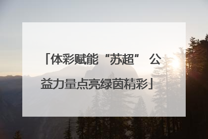 体彩赋能“苏超” 公益力量点亮绿茵精彩