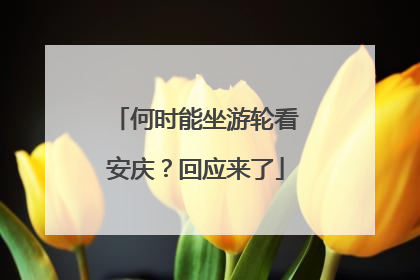 何时能坐游轮看安庆？回应来了