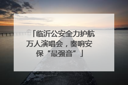 临沂公安全力护航万人演唱会，奏响安保“最强音”