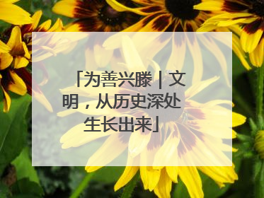 为善兴滕｜文明，从历史深处生长出来