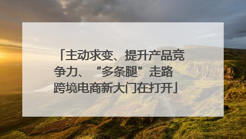 主动求变、提升产品竞争力、“多条腿”走路 跨境电商新大门在打开