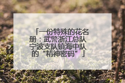 一份特殊的花名册：武警浙江总队宁波支队镇海中队的“精神密码”