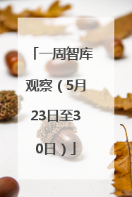 一周智库观察（5月23日至30日）