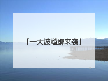 一大波螳螂来袭