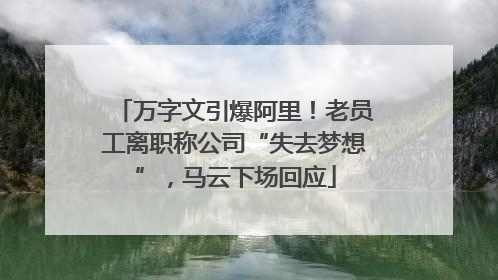万字文引爆阿里！老员工离职称公司“失去梦想”，马云下场回应