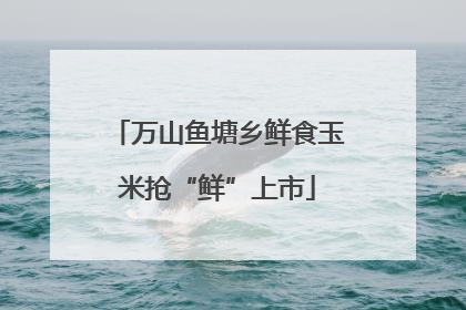 万山鱼塘乡鲜食玉米抢“鲜”上市
