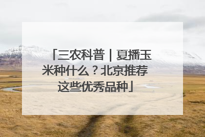 三农科普｜夏播玉米种什么？北京推荐这些优秀品种