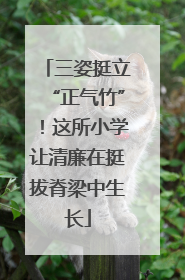 三姿挺立“正气竹”！这所小学让清廉在挺拔脊梁中生长