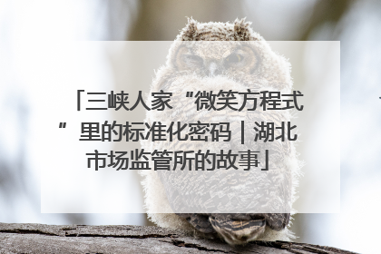 三峡人家“微笑方程式”里的标准化密码｜湖北市场监管所的故事