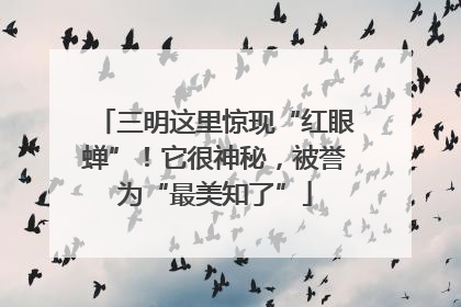 三明这里惊现“红眼蝉”！它很神秘，被誉为“最美知了”