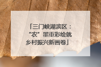 三门峡湖滨区：“农”墨重彩绘就乡村振兴新画卷
