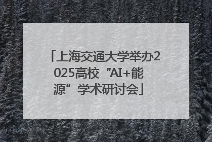 上海交通大学举办2025高校“AI+能源”学术研讨会