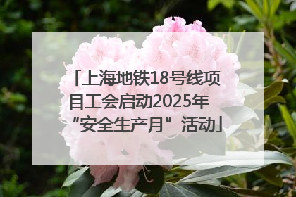 上海地铁18号线项目工会启动2025年“安全生产月”活动