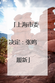 上海市委决定：张鸣履新