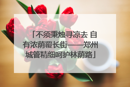 不须秉烛寻凉去 自有浓荫覆长街——郑州城管精细呵护林荫路