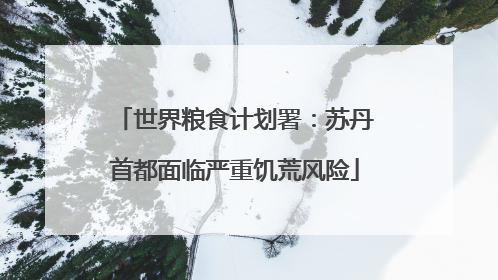 世界粮食计划署：苏丹首都面临严重饥荒风险