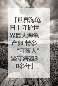 世界海龟日丨守护世界最大海龟产卵 特多“守夜人”坚守海滩30多年