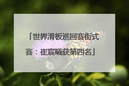 世界滑板巡回赛街式赛：崔宸曦获第四名