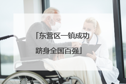东营区一镇成功跻身全国百强