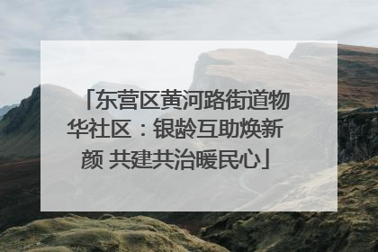 东营区黄河路街道物华社区：银龄互助焕新颜 共建共治暖民心