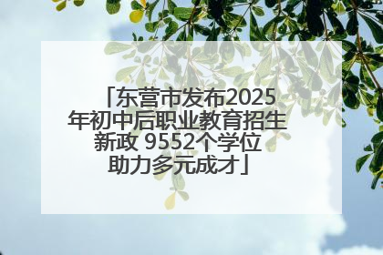 东营市发布2025年初中后职业教育招生新政 9552个学位助力多元成才