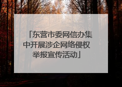 东营市委网信办集中开展涉企网络侵权举报宣传活动