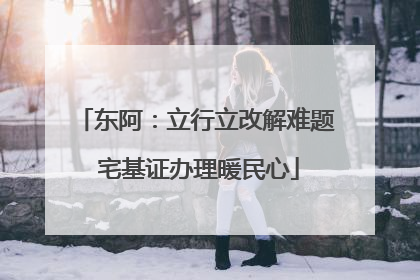 东阿：立行立改解难题 宅基证办理暖民心