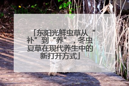 东阳光鲜虫草从“补”到“养”，冬虫夏草在现代养生中的新打开方式