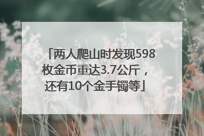两人爬山时发现598枚金币重达3.7公斤，还有10个金手镯等