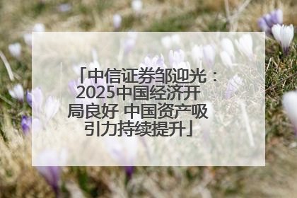 中信证券邹迎光：2025中国经济开局良好 中国资产吸引力持续提升