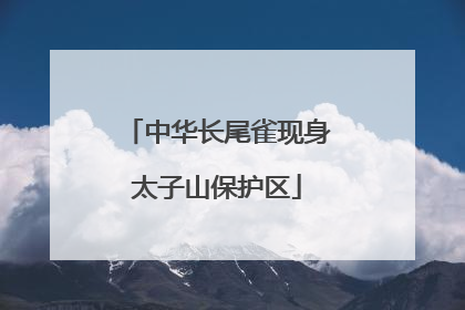 中华长尾雀现身太子山保护区