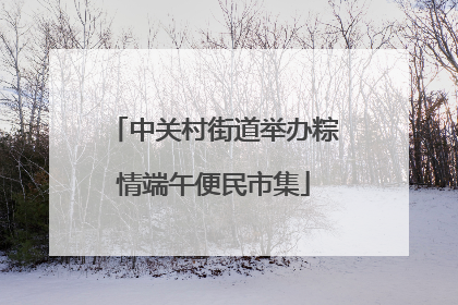 中关村街道举办粽情端午便民市集