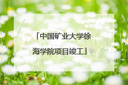 中国矿业大学徐海学院项目竣工