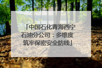 中国石化青海西宁石油分公司：多维度筑牢保密安全防线