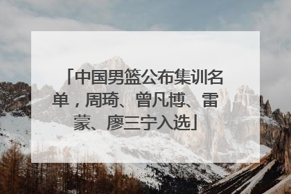 中国男篮公布集训名单，周琦、曾凡博、雷蒙、廖三宁入选