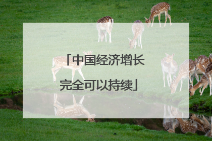 中国经济增长完全可以持续