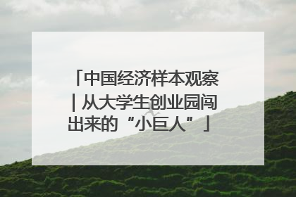 中国经济样本观察｜从大学生创业园闯出来的“小巨人”