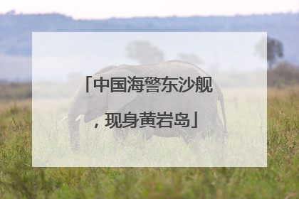 中国海警东沙舰，现身黄岩岛