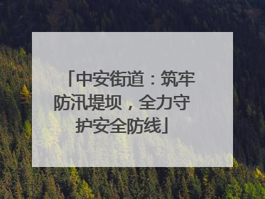 中安街道：筑牢防汛堤坝，全力守护安全防线