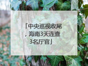 中央巡视收尾，海南3天连查3名厅官